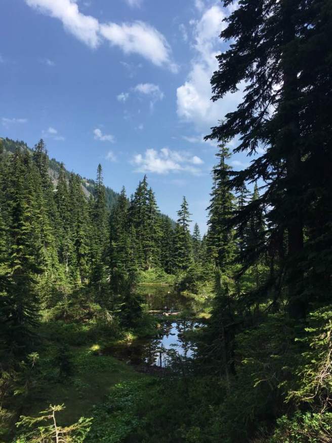 PCT hike lovely buggy pond