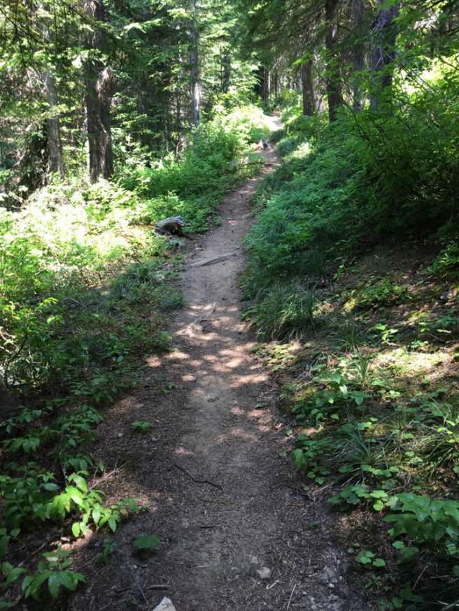 PCT - short steep shaded climb