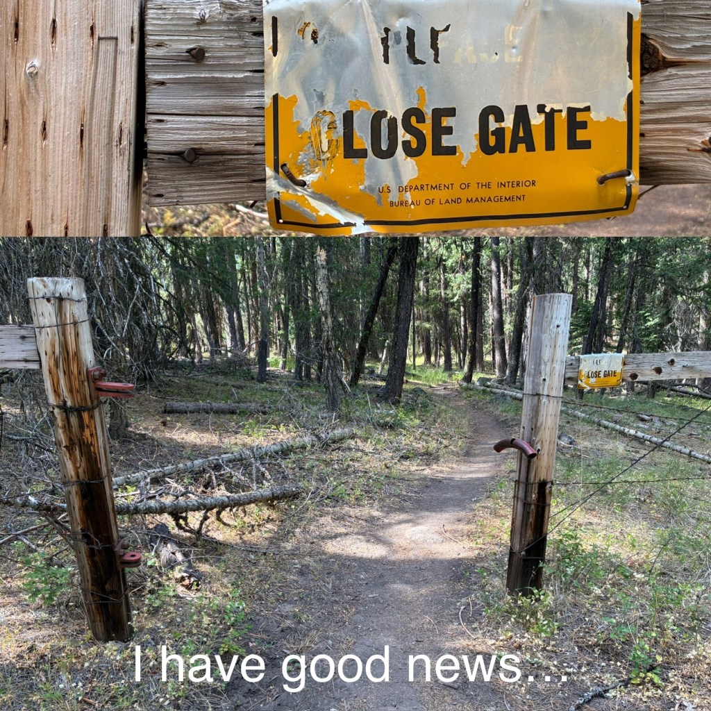 Two pictures. The top one is of a sign that used to read "please close gate" but it's faded so only the words "lose gate" are visible. The bottom picture is of a fenceline with an opening for a gate, but there is no gate there. The caption is "I have good news...."