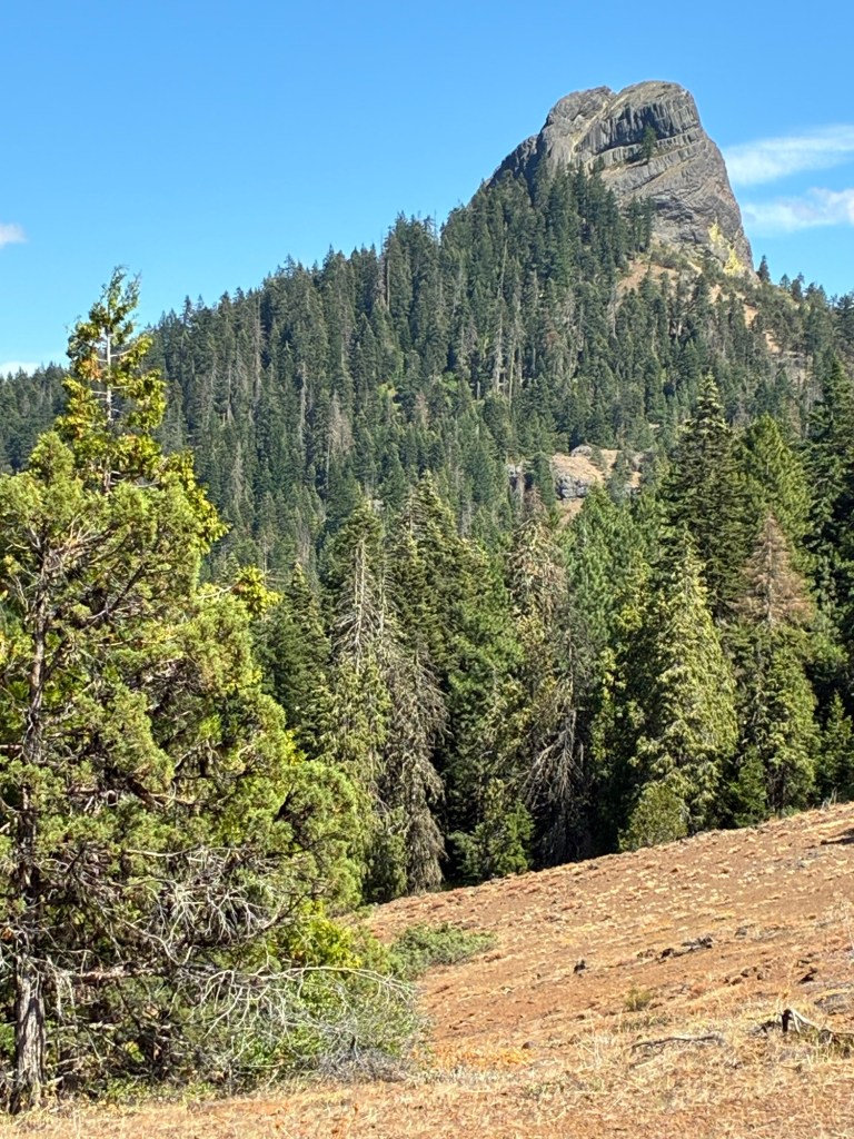 Landscape picture, in the distance is a large rock formation