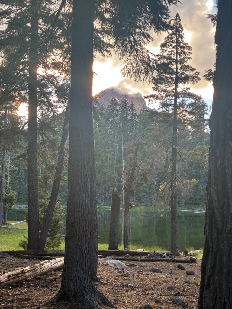 View of a mountain with large trees in the foreground