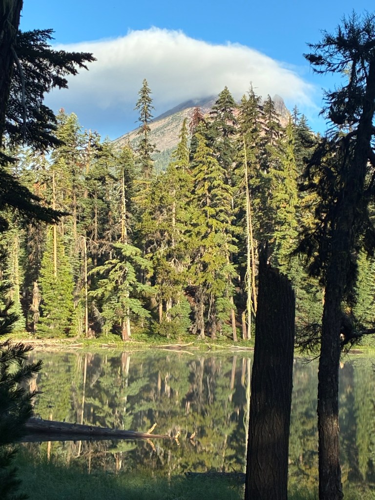 View of a lake surrounded by tall evergreen trees with a mountain in the distance
