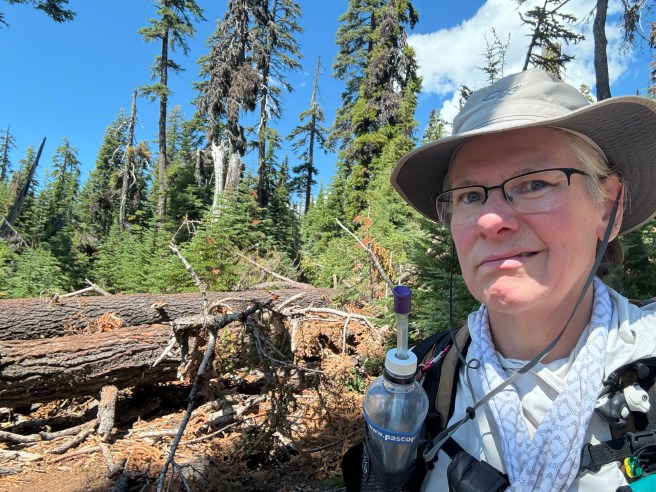 Me, standing in front a pile of downed logs blocking the trail. I am scowling.