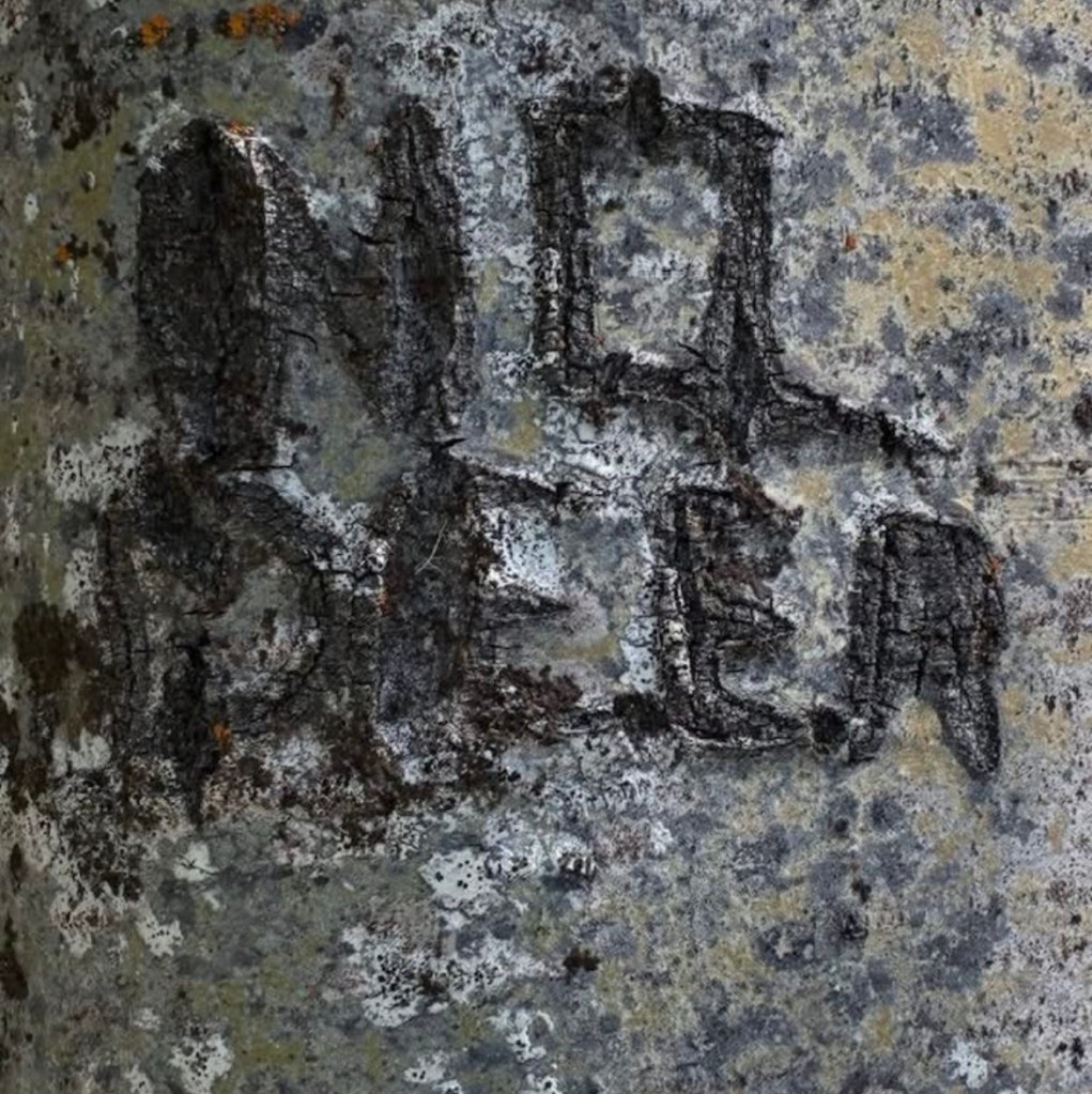 the words "no deer" carved into a tree